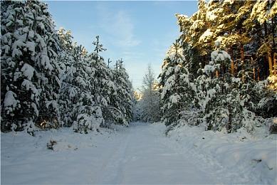 传闻：《使命召唤：现代战争3》或不登陆Xbox One