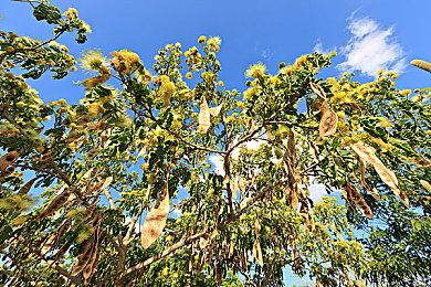 IGN评100大史上最佳PS游戏：《合金装备》霸气夺魁